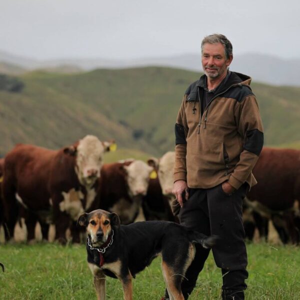 Time to celebrate red meat industry champions
