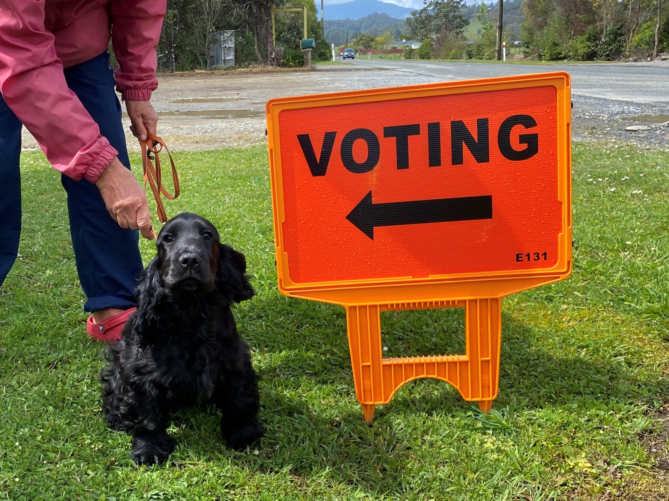 Voter volatility in the provinces is here to stay