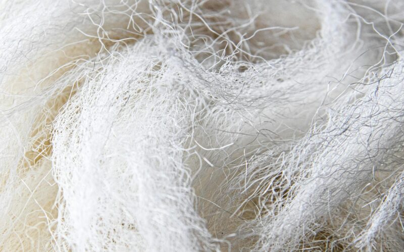 Report teases out hidden value in fibre