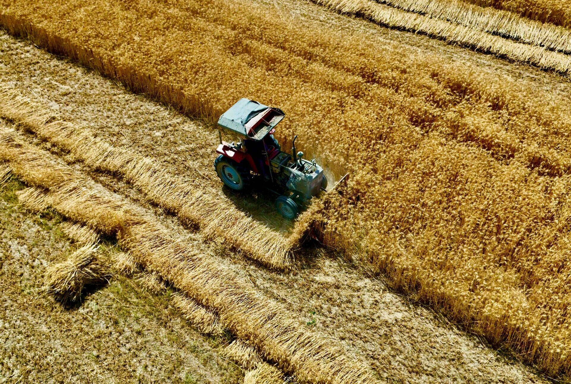 Ag foundations will stand up to battering