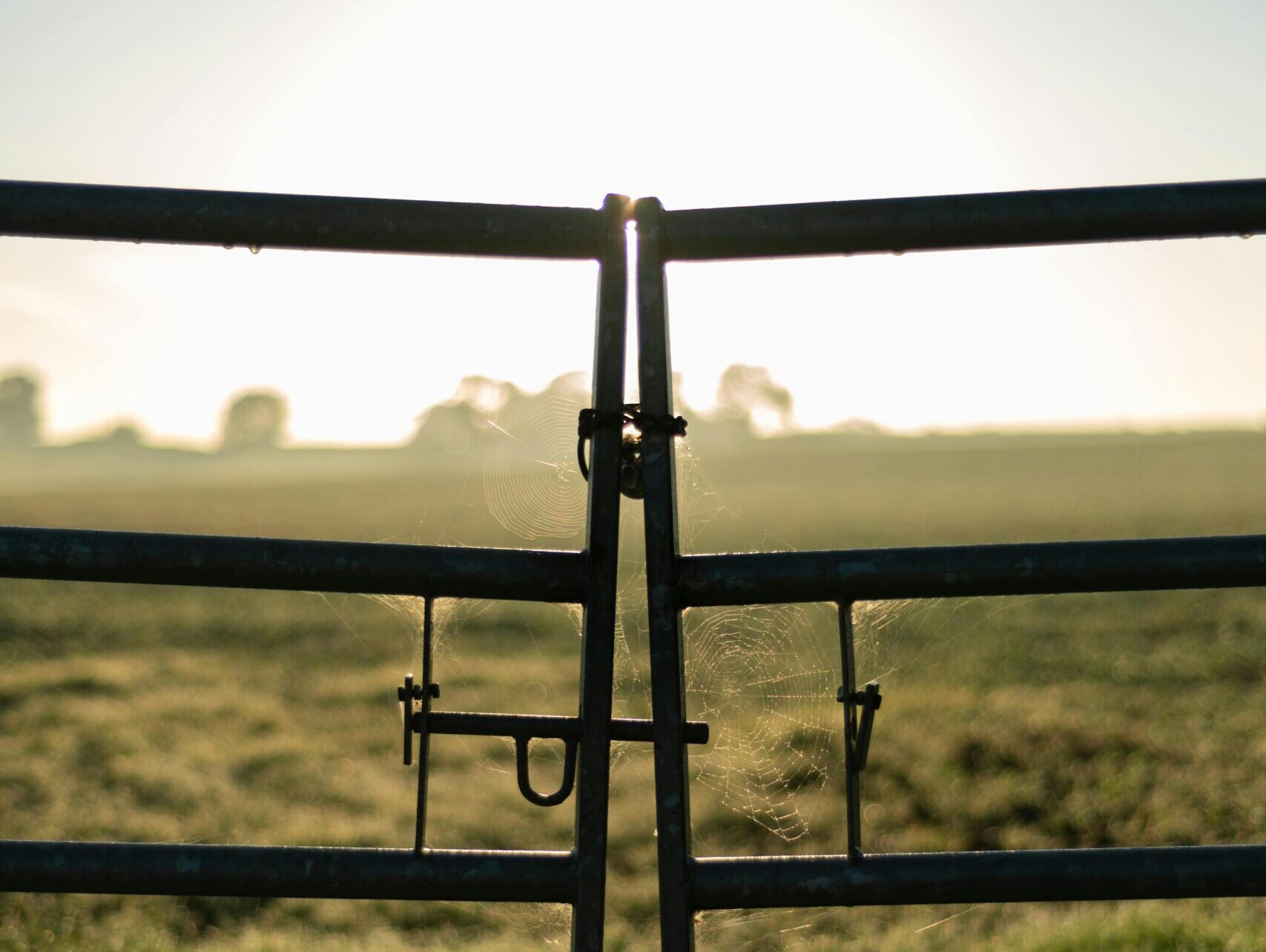 Hard facts about red meat tell a compelling story