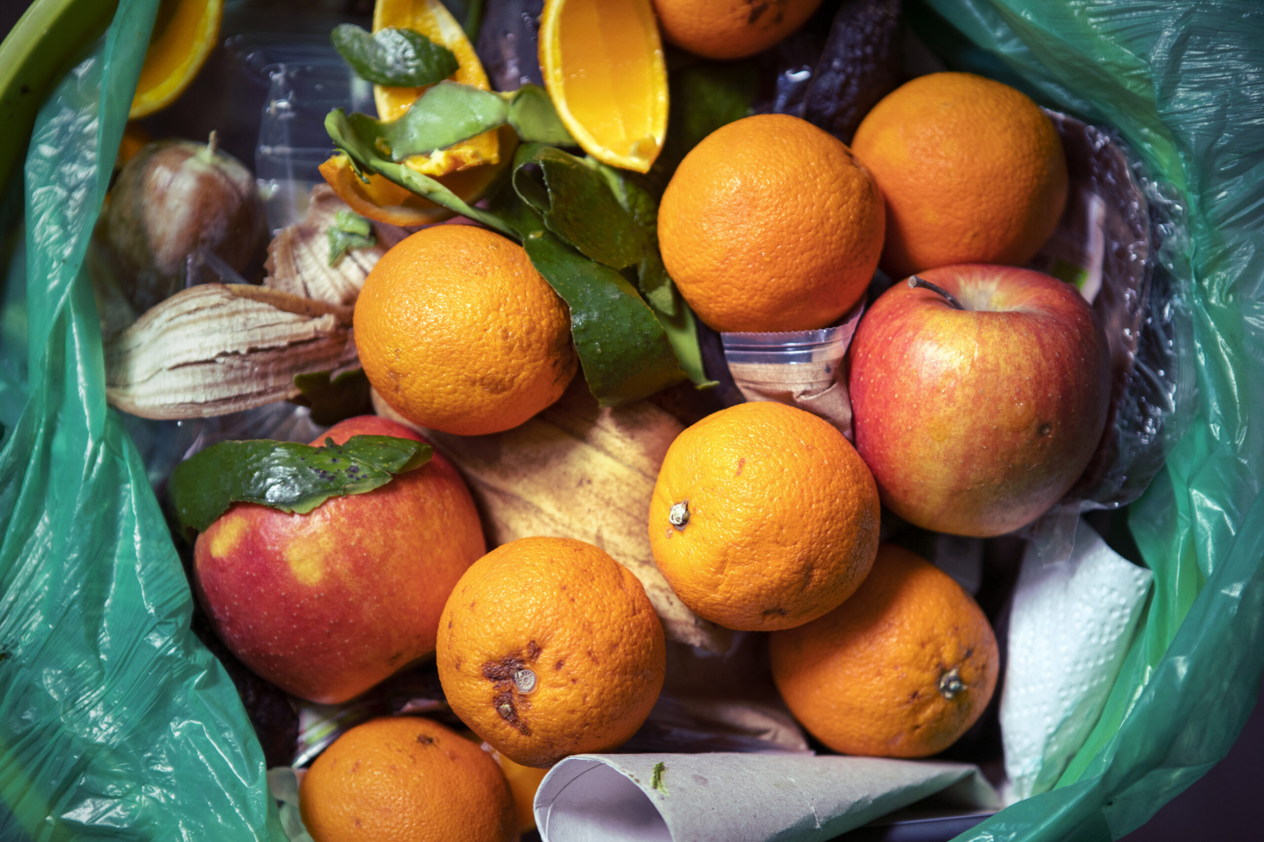 AI Hackathon to bend its mind to food waste