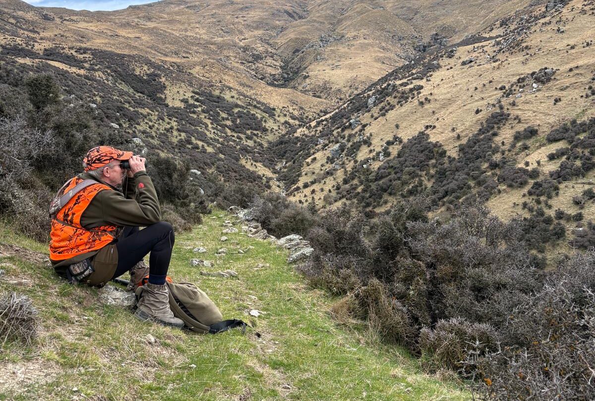Hunters eager to take on pests – for free