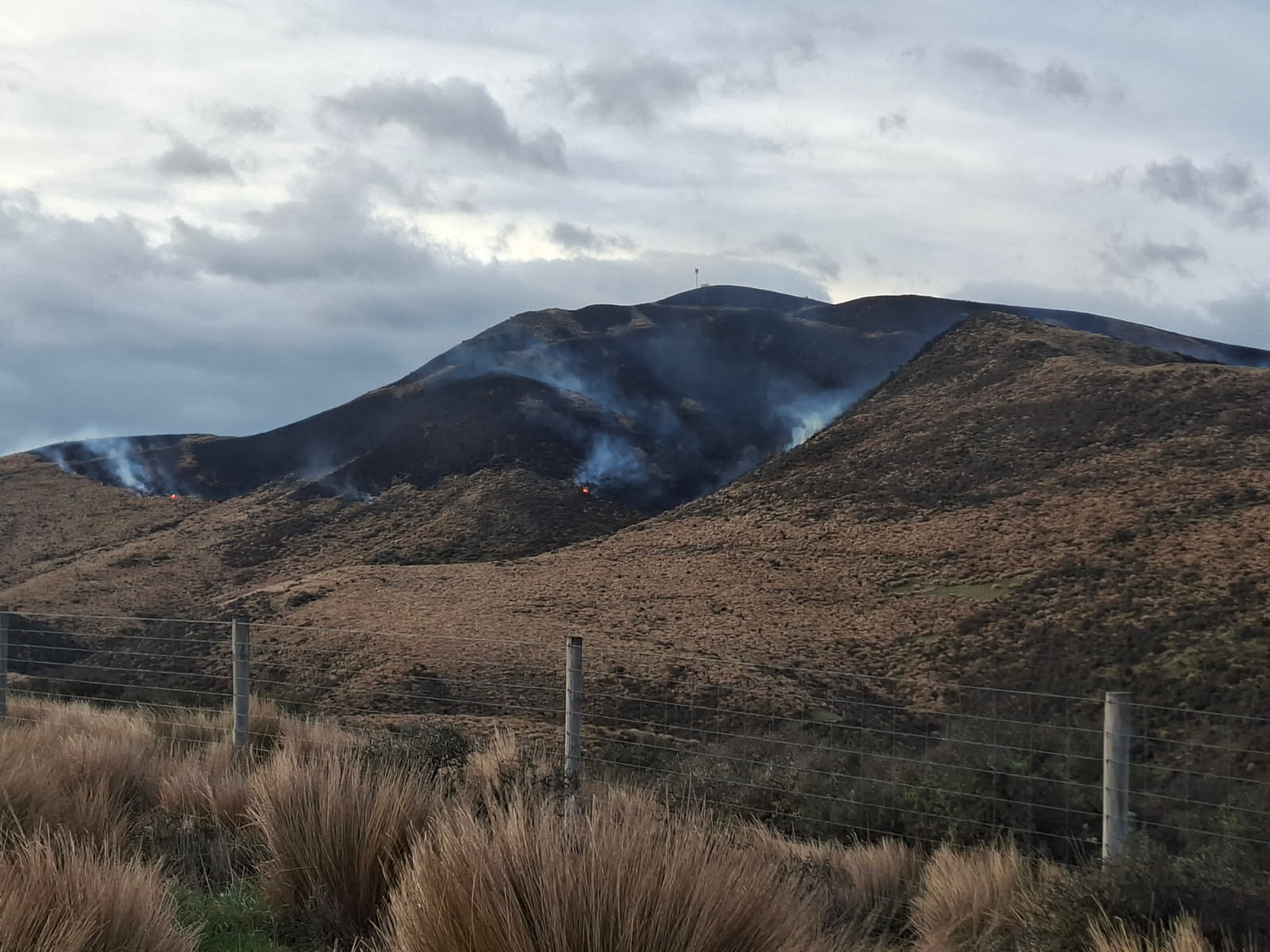 Pāmu’s Mt Hamilton station hit by scrub fire