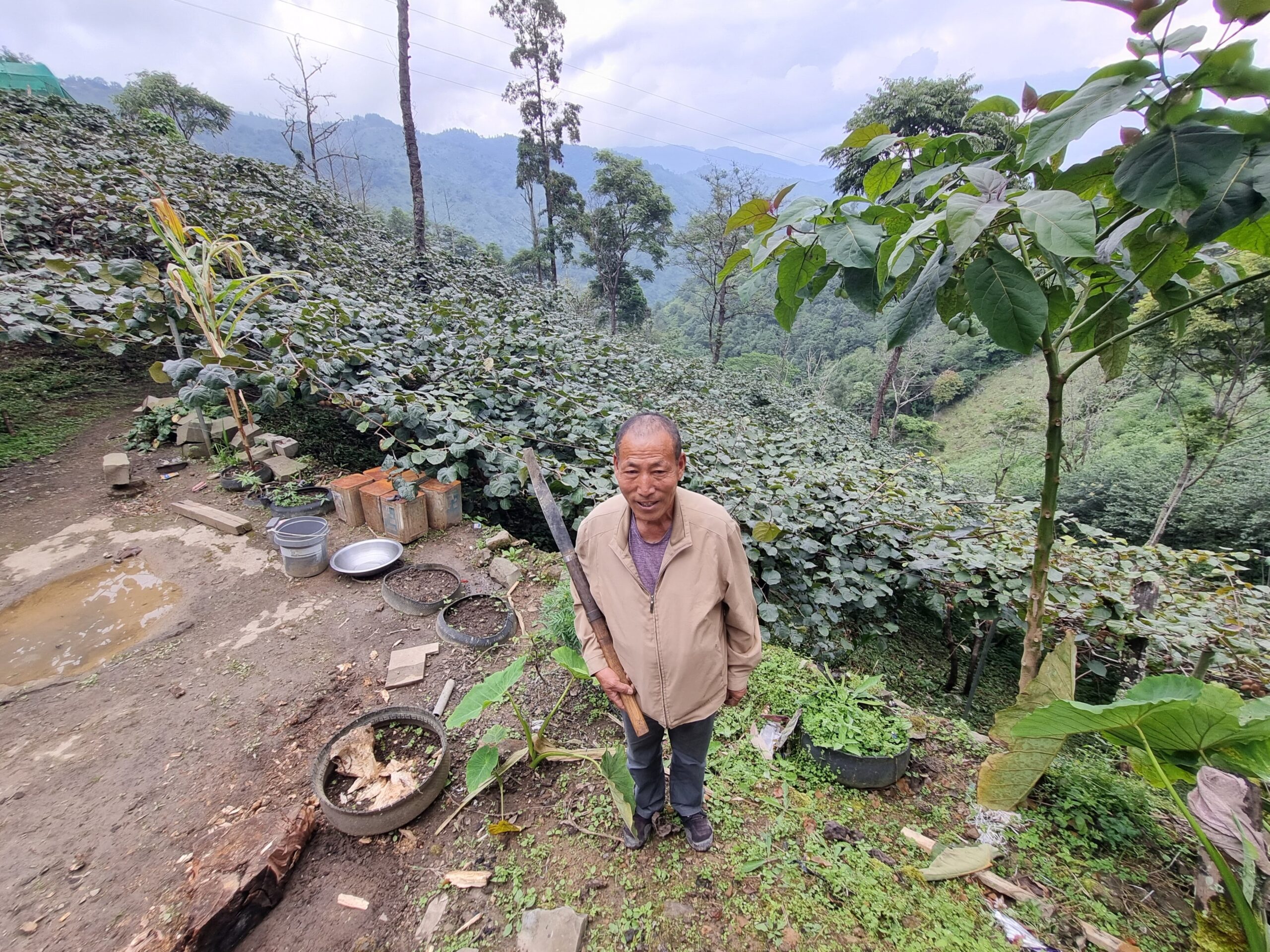 Growing kiwifruit against the odds in India's mountains